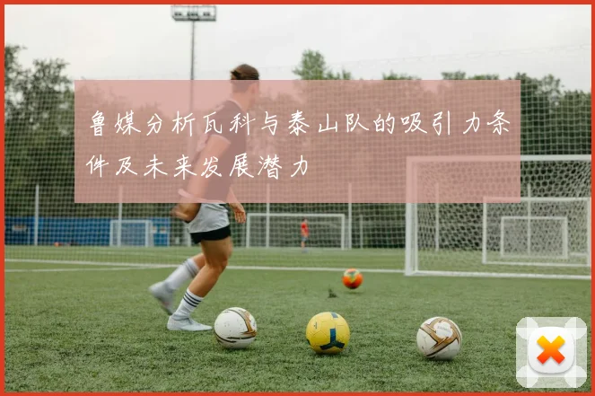 鲁媒分析瓦科与泰山队的吸引力条件及未来发展潜力