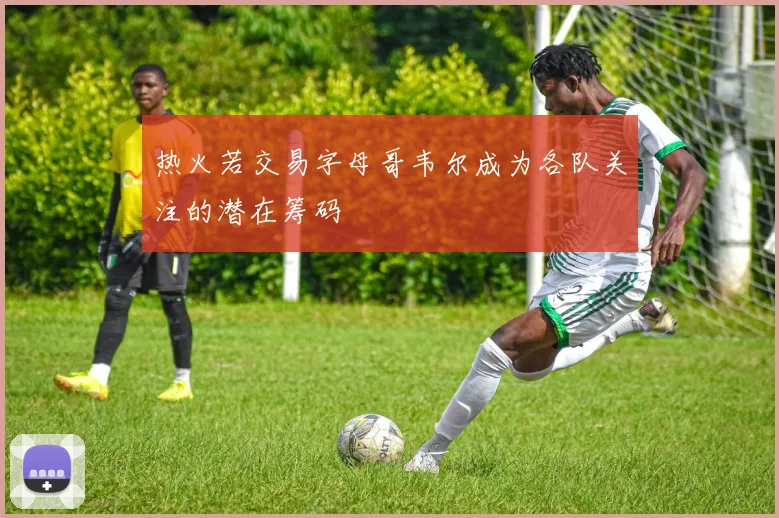 热火若交易字母哥韦尔成为各队关注的潜在筹码