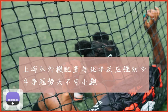 上海队外援配置与化学反应强劲今年争冠势头不可小觑